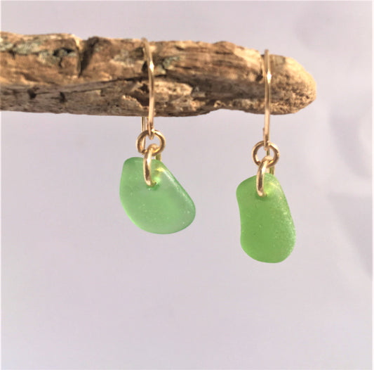 Shoreline Earrings - Green sea glass from Cape Breton, Nova Scotia, Canada on a 14K gold-filled hook