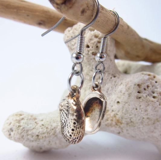Charmed! Abalone shell earrings silver plate antique finish on hypoallergenic surgical steel hooks