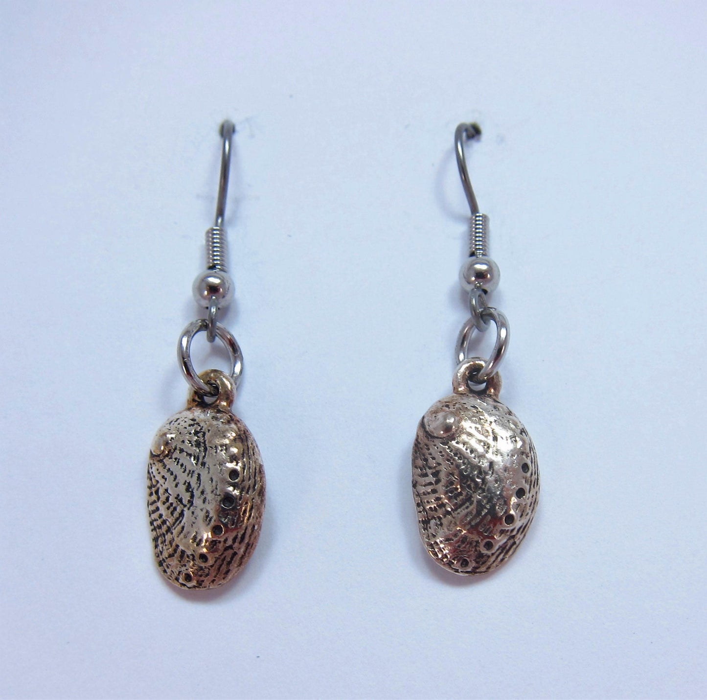 Charmed! Abalone shell earrings silver plate antique finish on hypoallergenic surgical steel hooks