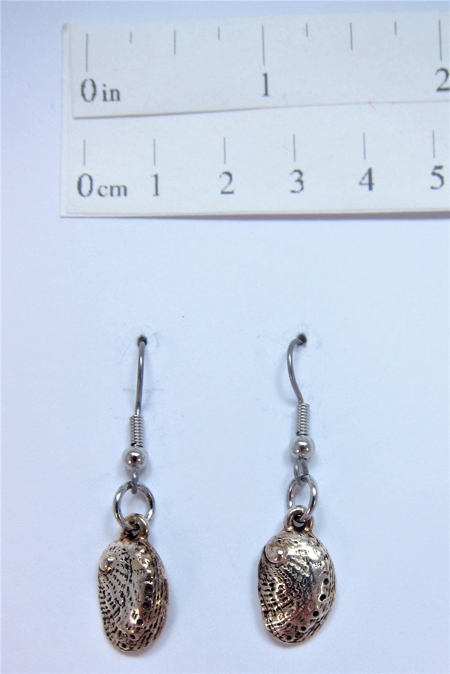 Charmed! Abalone shell earrings silver plate antique finish on hypoallergenic surgical steel hooks